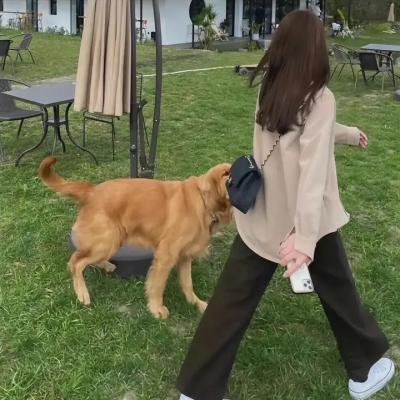 城南算法·终章海报